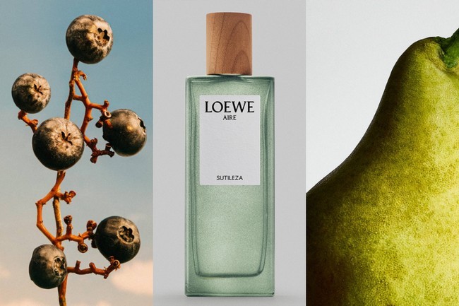 LOEWE Aire Sutileza: Khi sự tinh khiết trở thành dấu ấn