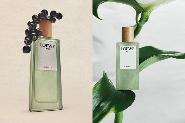 2-1780070161.jpg