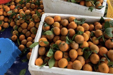 Xăng dầu tăng chóng mặt, dân buôn online đồng loạt “xin thêm 5.000 đồng/đơn”