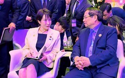 Việt Nam là đối tác không thể thay thế trong mục tiêu quan trọng của Nhật Bản