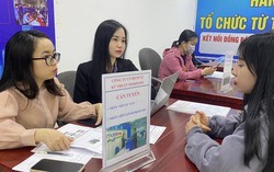 Trước 1/7/2026, kinh doanh dịch vụ việc làm vẫn phải xin phép và ký quỹ?