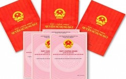 Thông tin quan trọng tất cả người dân đang sở hữu sổ đỏ cần biết