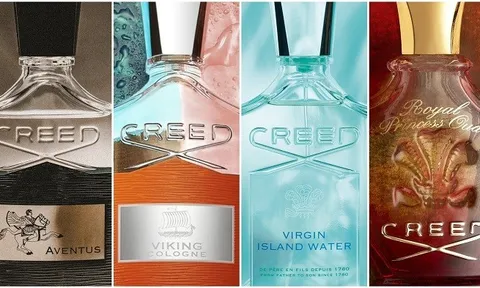 Sức sống mãnh liệt từ họ hương cam chanh