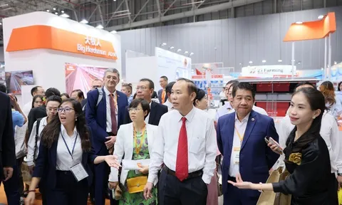 Triển lãm Vietstock 2024 - Dẫn đầu sáng tạo và hợp tác