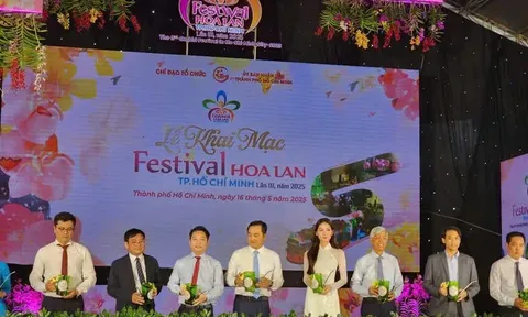 Hơn 200 nghệ nhân, nhà vườn tham gia Festival Hoa lan TP. HCM lần 3 năm