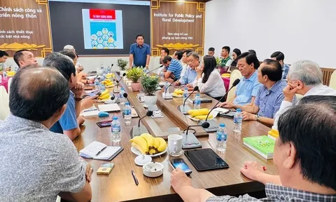 Hiệp hội ngành hàng lúa gạo Việt Nam (VIETRISA) sơ kết hoạt động 6 tháng đầu năm và triển khai kế hoạch các tháng cuối năm 2025