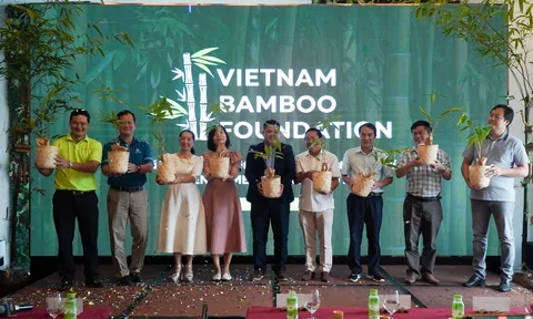 Quỹ Phát triển Tre Việt chính thức ra mắt với thông điệp “Tre xanh, vì tương lai xanh”