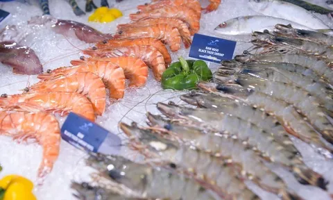 VIETFISH 2025 – Diện mạo mới, tầm nhìn mới