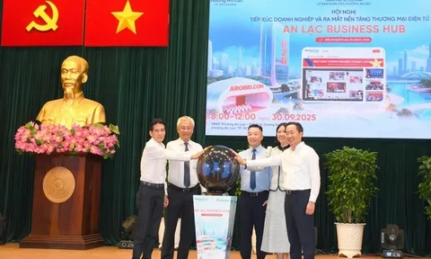Ra mắt nền tảng Thương mại điện tử B2B địa phương đầu tiên tại Việt Nam “An Lạc Business Hub” phuongAnLac.Arobid.com