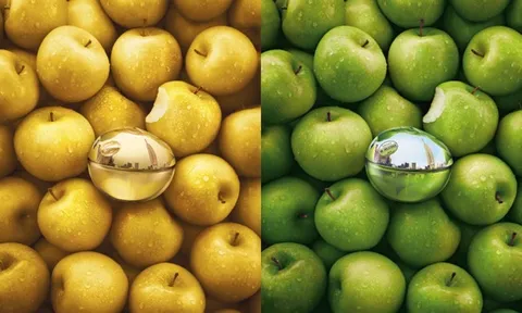 DKNY Delicious Collection – Sắc hương biểu tượng của New York