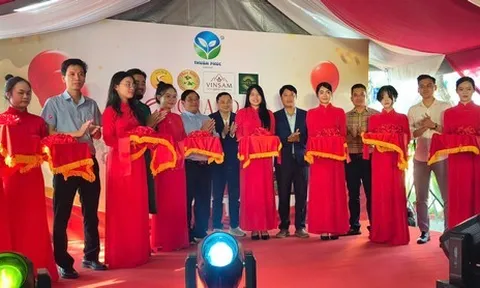 Công ty Thuận Phúc chính thức ra mắt Showroom trải nghiệm các dòng sản phẩm cao cấp từ sâm chất lượng cao