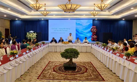 Tăng tốc cải cách, Gia Lai chủ động đón dòng vốn đầu tư chất lượng