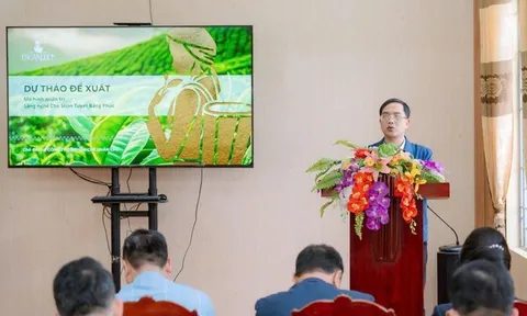 Khảo sát chuyên đề xây dựng chuỗi sản phẩm du lịch nông thôn đặc thù gắn với phát triển ngành chè tại Đồng Phúc (Thái Nguyên)