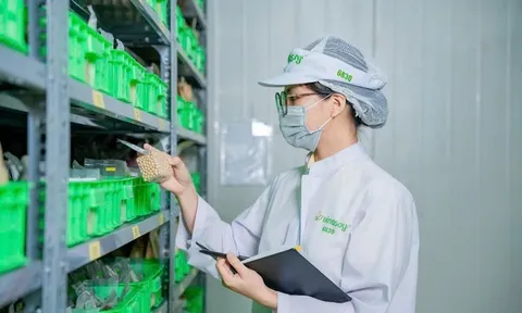 Từ “nâng tầm” đến “kiến tạo”: Vinasoy mở rộng phát triển dinh dưỡng thực vật