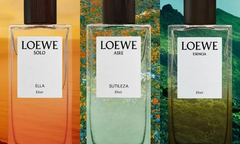 Top 3 mùi hương Elixir đình đám trong bộ sưu tập Landscape của Loewe
