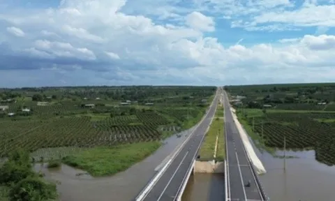 Bất ngờ nguyên nhân gây ngập hàng trăm hecta thanh long tại Bình Thuận