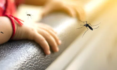 Bé trai 7 tuổi tử vong do sốt xuất huyết Dengue