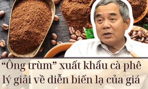 “Ông trùm” xuất khẩu cà phê lý giải về diễn biến lạ của giá cà phê