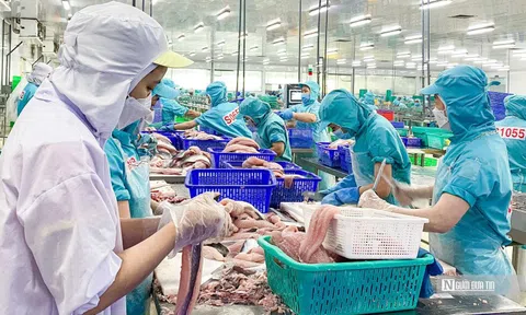 Xuất khẩu thủy sản đạt 9,2 tỷ USD trong 11 tháng năm 2024