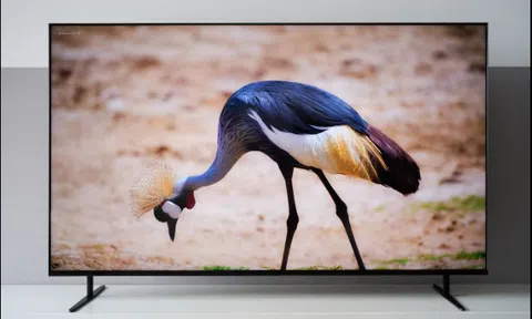 Vì sao TV Sony BRAVIA là lựa chọn hàng đầu để xem phim dịp Tết này?