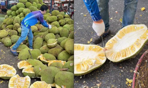 Cách người Thái bổ cả vựa mít mà không biết mệt mỏi, chẳng khác nào các "cỗ máy chạy bằng cơm"