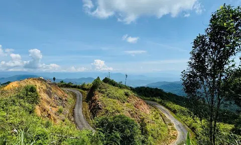 Thanh tra chỉ ra hàng loạt sai phạm tại các dự án đầu tư xây dựng của Sở Nông nghiệp Khánh Hòa