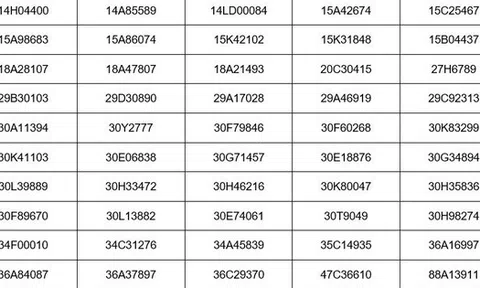 Thái Bình công khai danh sách chủ xe phải nộp phạt 'nguội' theo Nghị định 168: Nhiều biển Hà Nội 'góp mặt'