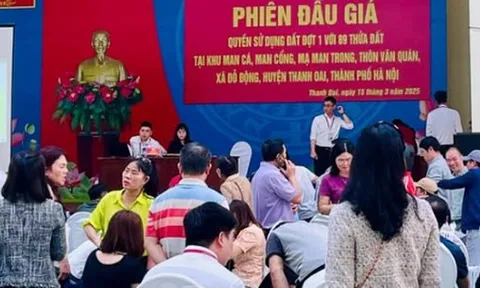 Vừa rời "sàn" đấu giá đất Thanh Oai, "cò mồi" đã rao bán chênh lên đến cả tỷ đồng/lô