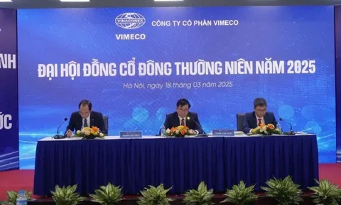 ĐHĐCĐ Vimeco: Đẩy mạnh mảng xây lắp, bất động sản sau khi Vinaconex thoái vốn