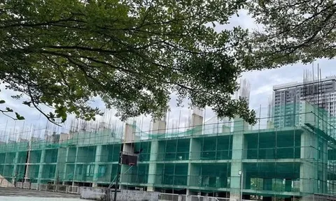 Chưa mở bán, 'cò' đã ra giá, nhận làm hồ sơ mua chung cư thu nhập thấp