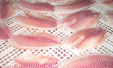 Việt Nam xuất khẩu hàng trăm nghìn tấn sản vật trị giá hơn 10 tỷ USD của TG: Mỹ, Nga liên tục chốt đơn