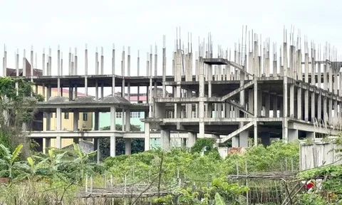 Quảng Bình: Thêm một dự án bị UBND tỉnh thu hồi đất do chậm tiến độ