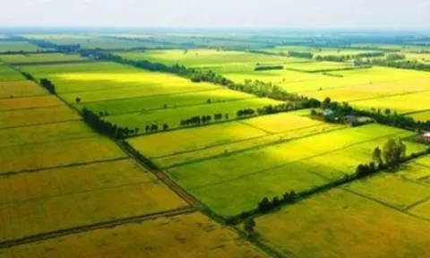 Nhà đầu tư lùng mua đất nông nghiệp, chờ thời tăng giá