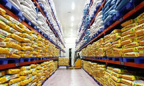 Bất ngờ sức hấp dẫn gạo Việt Nam ở thị trường Nhật Bản