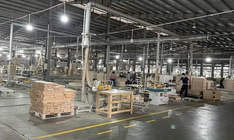 Ngân hàng đại hạ giá 28 tỷ đồng lô đất 102.000m2 tọa lạc vị trí đắc địa tại Bắc Ninh