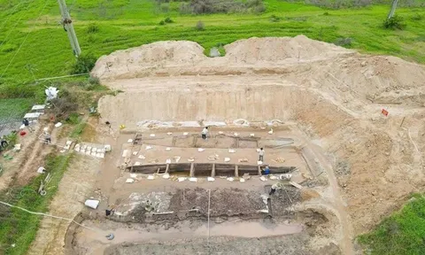 Cải tạo đất để nuôi cá, người dân Việt Nam phát hiện vật lạ dài 17m, chuyên gia xác nhận báu vật chưa từng thấy trên thế giới