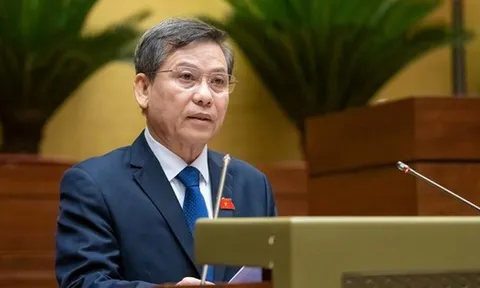 Đề xuất thành lập Tòa án nhân dân khu vực, Tòa chuyên trách về Phá sản, Sở hữu trí tuệ
