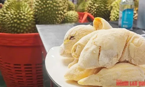 Giá sầu riêng tiếp tục giảm sâu, có loại chỉ còn 25.000 đồng/kg