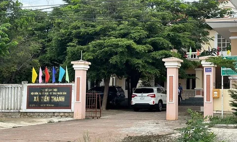 Kiến nghị chuyển hồ sơ vụ cấp trái phép hơn 21.000 m² đất tại Phan Thiết sang cơ quan công an