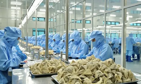 Lý do người Trung Quốc chưa biết nhiều về tổ yến Việt Nam