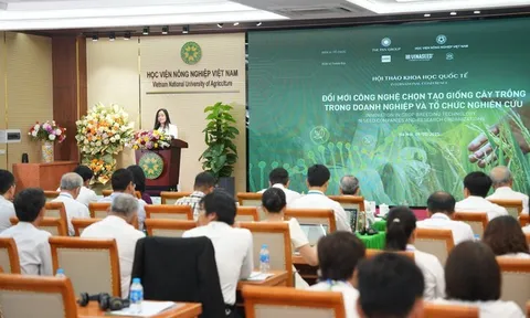 Ngành giống cây trồng trước cơ hội bứt phá nhờ công nghệ và đổi mới sáng tạo