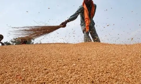 Vừa ngừng nhập khẩu từ Mỹ, một ngành hàng của Trung Quốc gặp sóng gió: ‘Cứu tinh’ chậm trễ giao hàng, nhập khẩu giảm xuống thấp nhất trong một thập kỷ