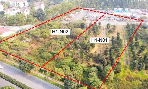 Hà Nội: Giao hơn 10.000m2 đất để thực hiện dự án nhà ở biệt thự