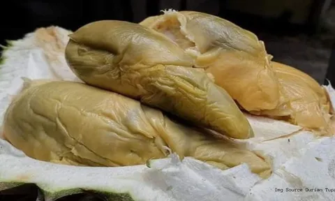 Giới "sành ăn" săn lùng giống quả mới: Mùi thơm quyến rũ, hương vị đặc biệt không thể lẫn vào đâu được