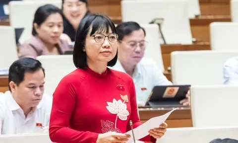 Có vụ phát hiện hơn 600 doanh nghiệp 'ma' xuất trên 1 triệu hóa đơn khống