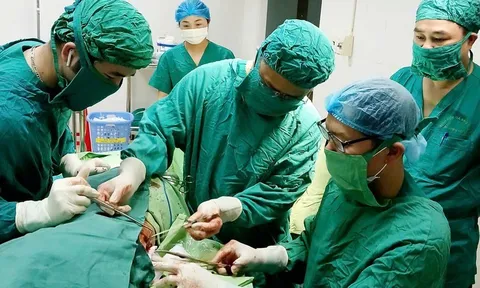 Hy hữu cành cây dài 20cm nằm trong lồng ngực cụ bà suốt 2 năm