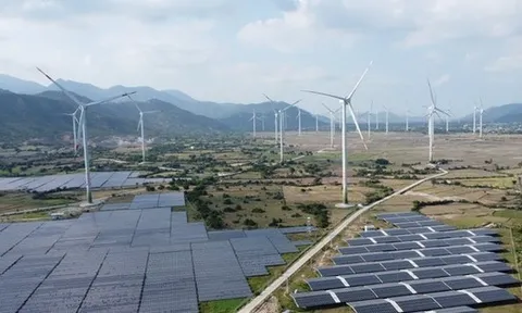 Loạt dự án năng lượng tái tạo ở Ninh Thuận 'lụt' tiến độ