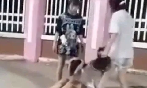 Nữ sinh bị đánh hội đồng trước cổng trường