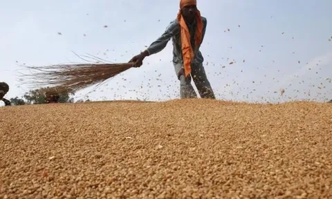 Nóng cuộc đua đưa một loại ‘báu vật’ vào thị trường Trung Quốc: Nga nắm lợi thế giá rẻ hấp dẫn, Úc than khó do sắp dư thừa số lượng lớn