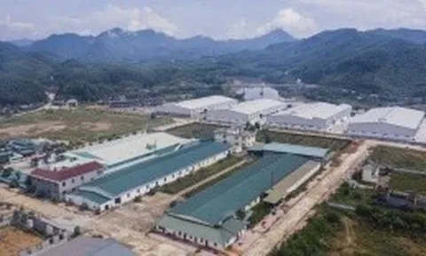 Quảng Ninh thành lập Cụm công nghiệp Quảng Thành quy mô 54,54 ha